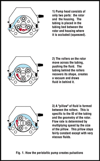 Fig. 1 3 Steps How a Peristaltic Pump Creates Pulsations Diagram - How Peristaltic Pumps Create Pulsations
